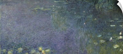 Waterlilies: Morning, 1914 18 (centre right section)