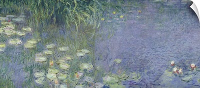 Waterlilies: Morning, 1914 18 (left section)