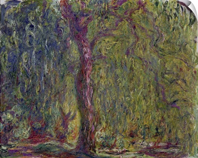 Weeping Willow, 1918-19