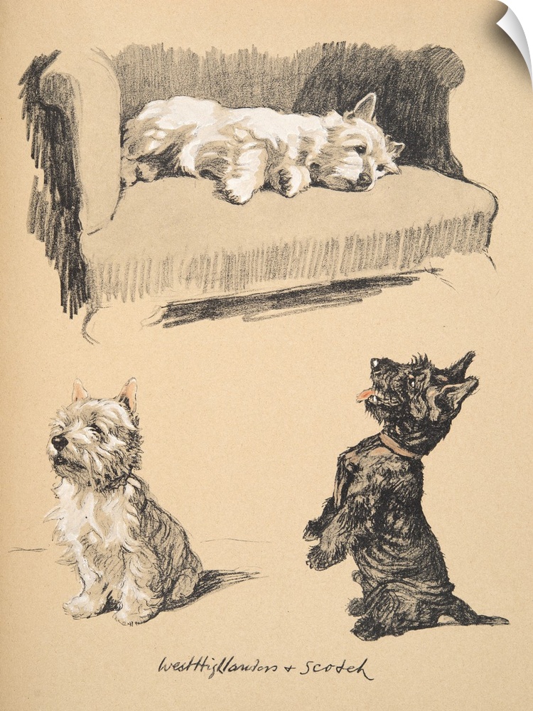 West Highlanders and Scotch, 1930,Illustrations from his Sketch Book used for 'Just Among Friends', later Published by Eyr...
