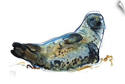 Westcove Seal, 2019