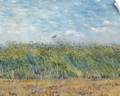 Wheatfield with Partridge, 1887