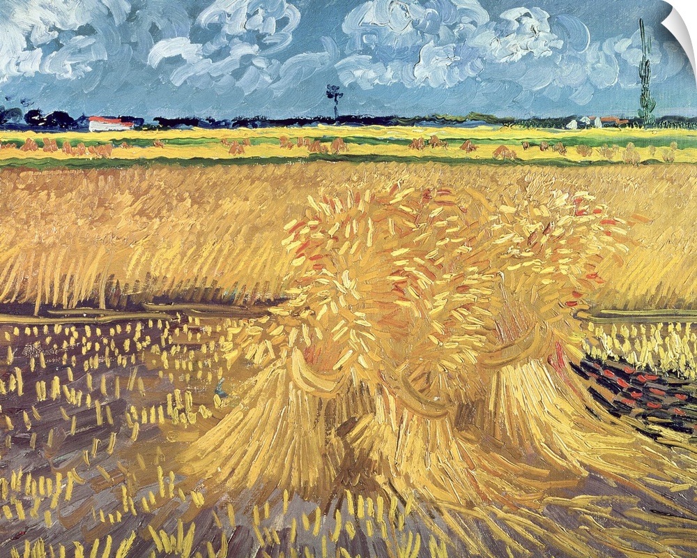Big, landscape classic painting of a golden wheat filed beneath a blue sky with billowing clouds,  a large area of the fie...