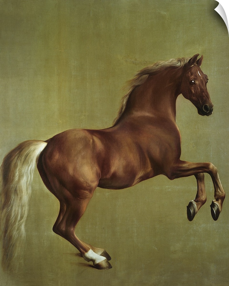 Big classic art portrays a dark colored horse with its front hooves above the ground.  Artist places the horse against a s...