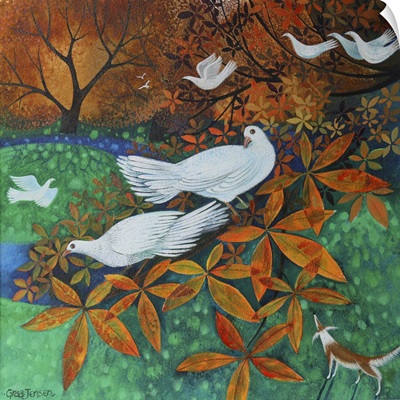White Doves, 2016