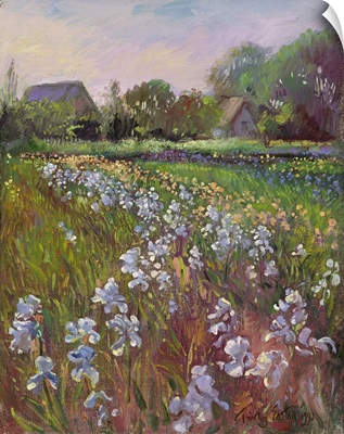 White Irises and Farmstead