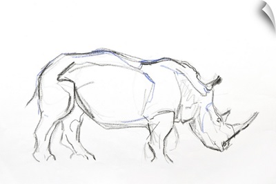 White Rhino, 2021