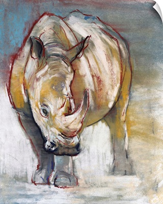 White Rhino, Ol Pejeta, 2018
