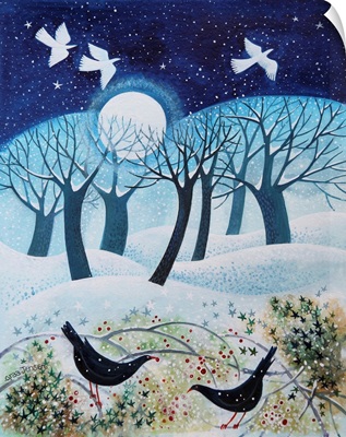Winter Birds in the Snow, 2019