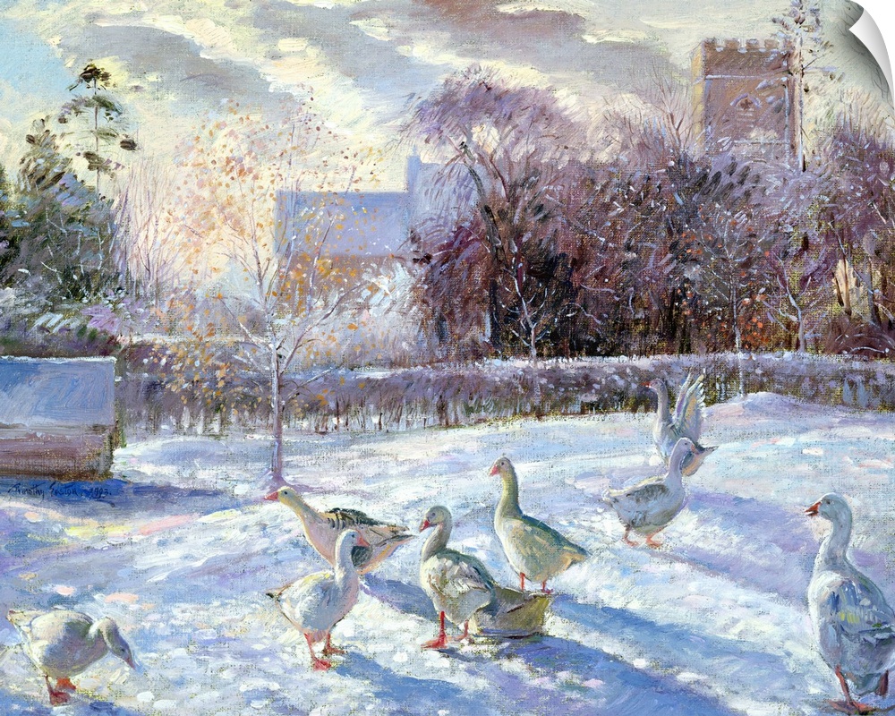 Winter Geese in Church Meadow