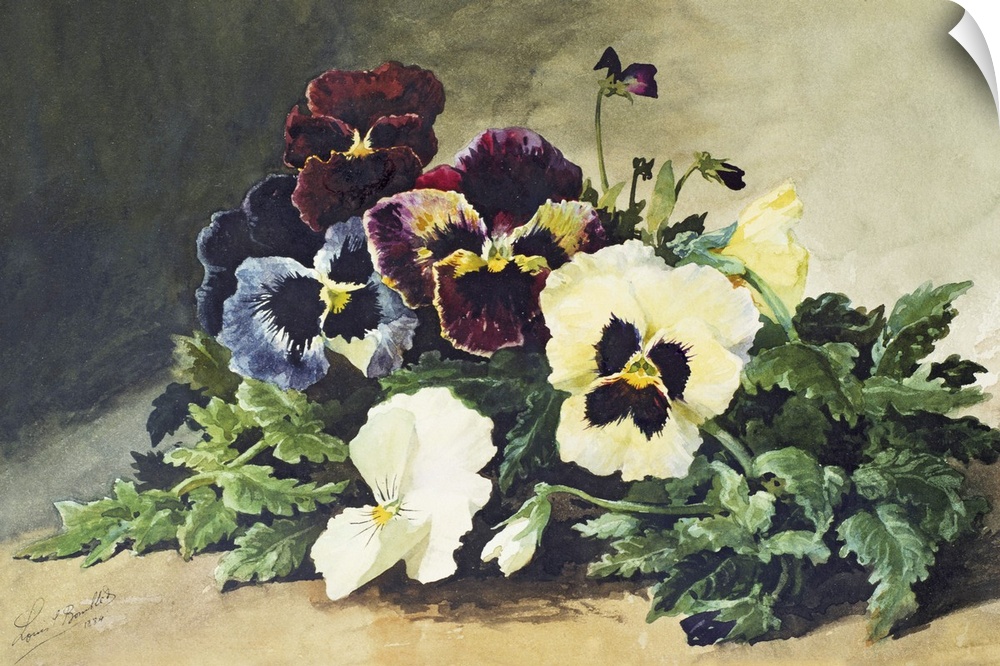 BAL45217 Winter Pansies, 1884 (w/c on paper)  by Bombled, Louis (1862-1927); watercolour on paper; Private Collection; Wat...