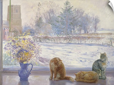 Winter Prospect With Cats
