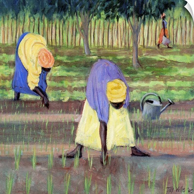 Women Gardening, 2005