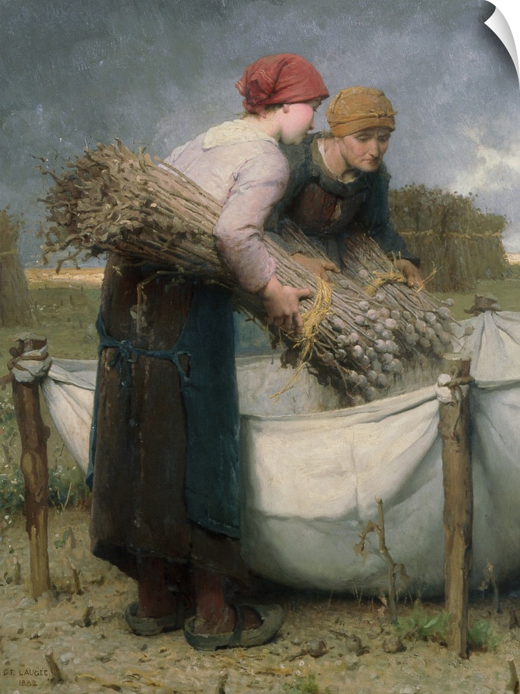 XOU155367 Women in the Field, 1882 (oil on canvas)  by Laugee, Desire Francois (1823-96); Musee des Beaux-Arts, Rouen, Fra...