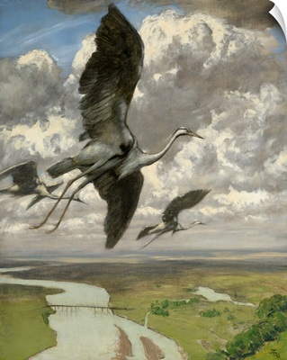 Wondrous Birds, 1892