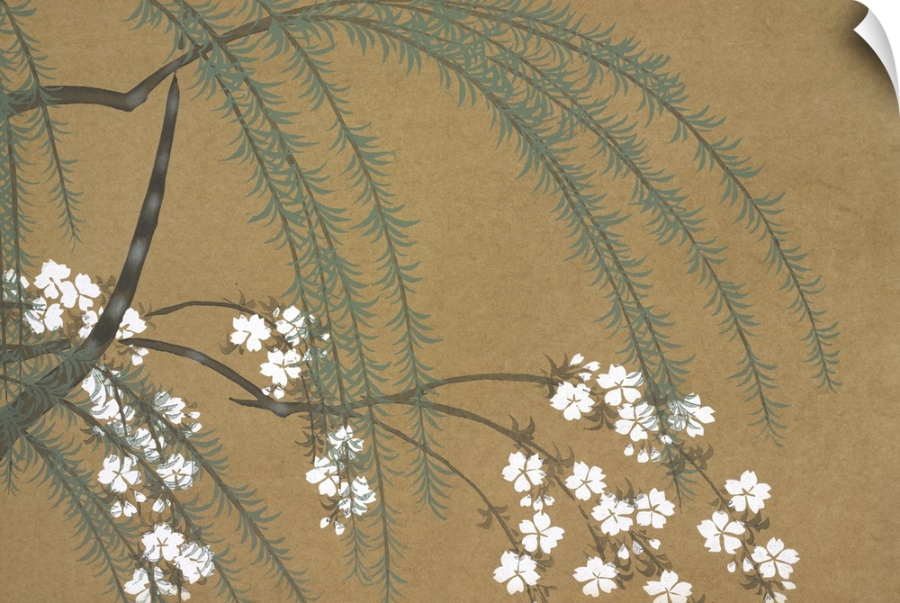 Kamisaka Sekka (1866 - 1942)  A Willow and Cherry Blossoms