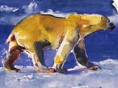 Yellow Bear, 1999