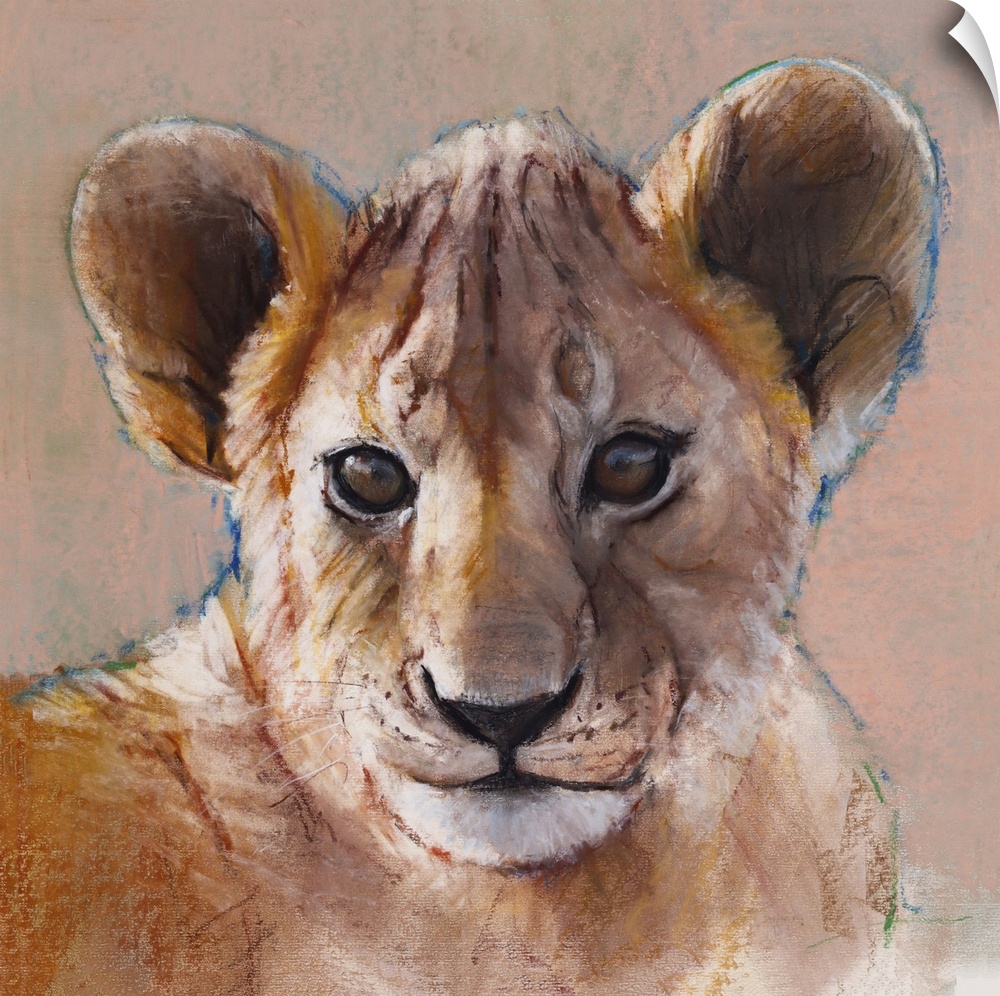 Youngest Cub, Masai Mara, 2019. Originally conte and pastel on paper.