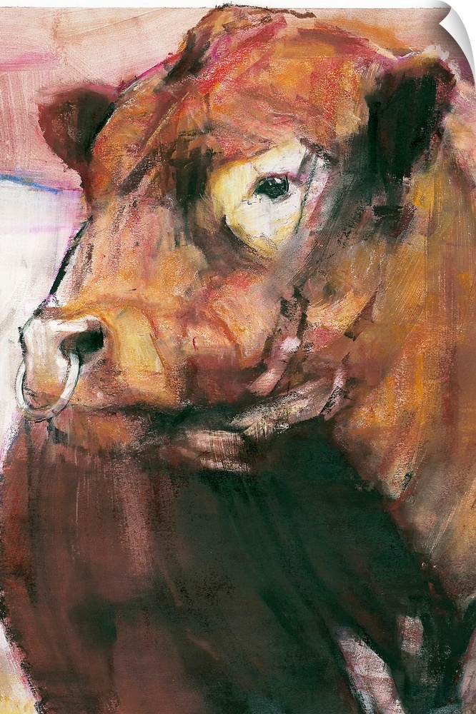 Vertical artwork on a large canvas of e red belted galloway bull with a ring through his nose.  Image has rough brushstrok...