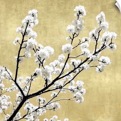 Blossoms on Gold II