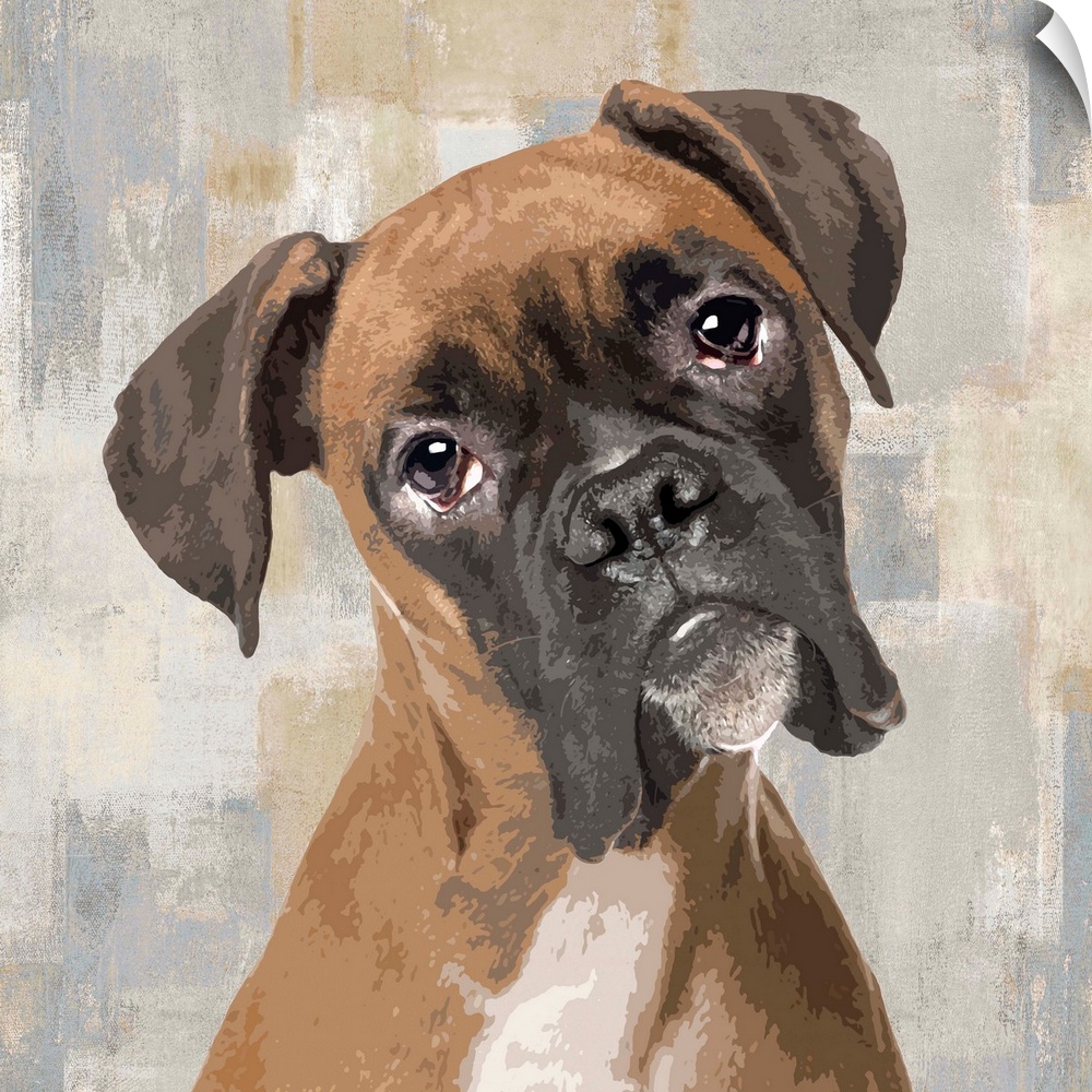 Square decor with a portrait of a Boxer on a layered gray, blue, and tan background.