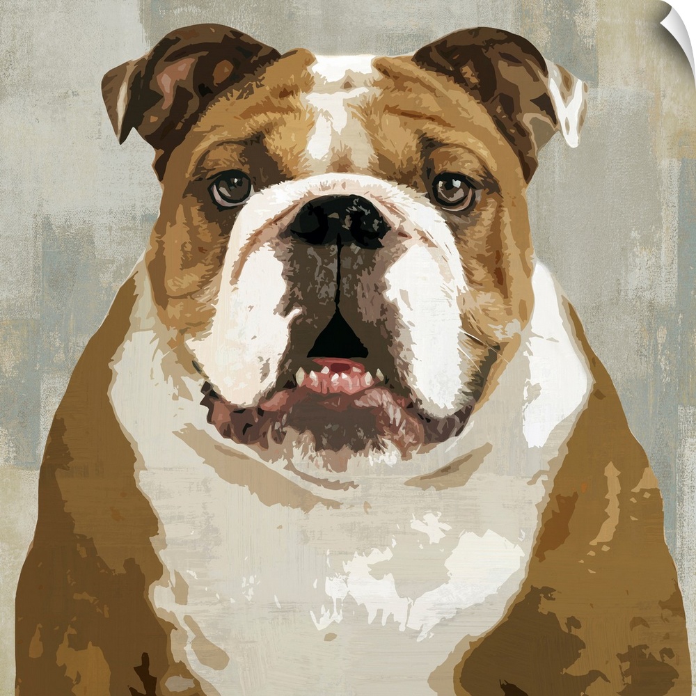 Square decor with a portrait of a Bulldog on a layered gray, blue, and tan background.