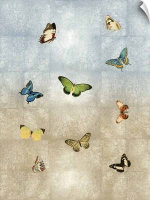 Butterflies Meet Up I