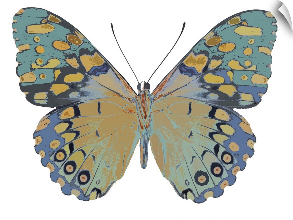 Illustration of a butterfly in shades of blue and gold on a white background.