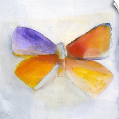 Butterfly IV