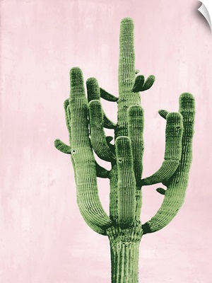 Cactus on Pink II