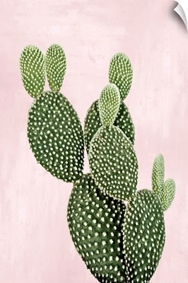 Cactus on Pink V