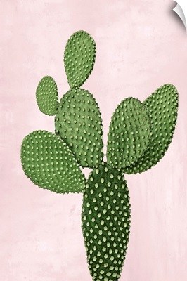 Cactus on Pink VIII
