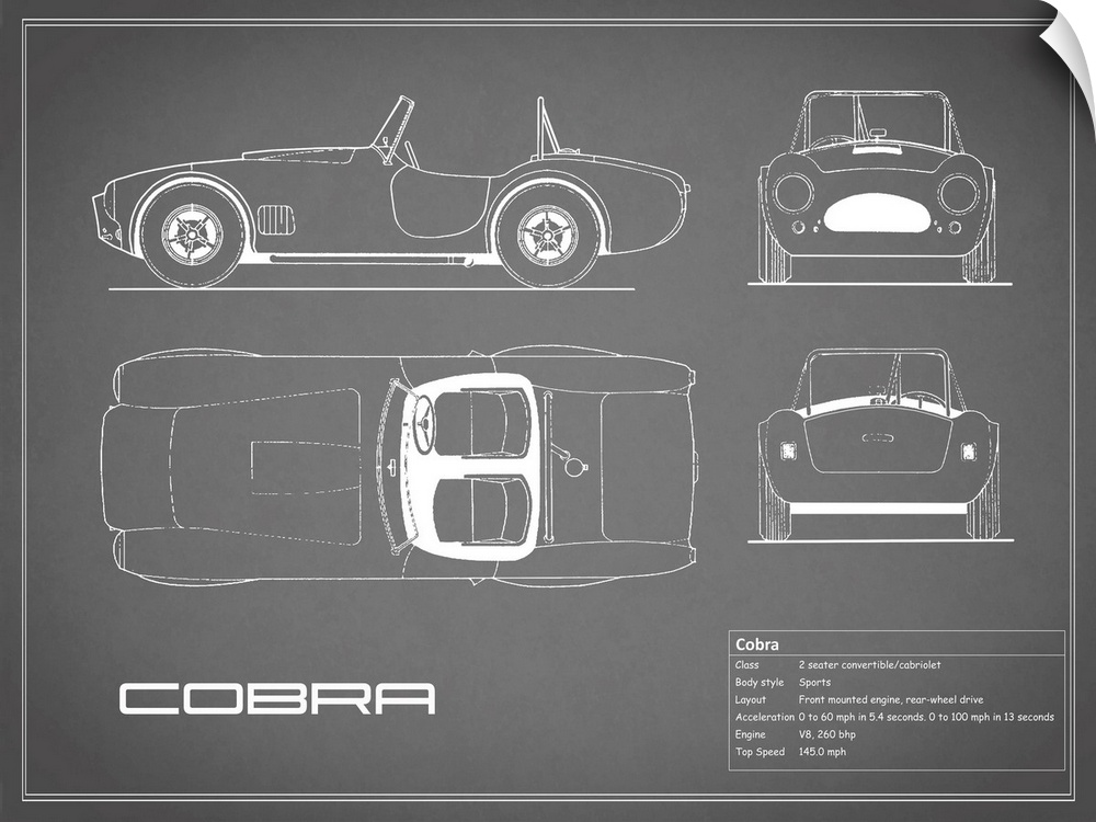 Antique style blueprint diagram of a Cobra printed on a Grey background.