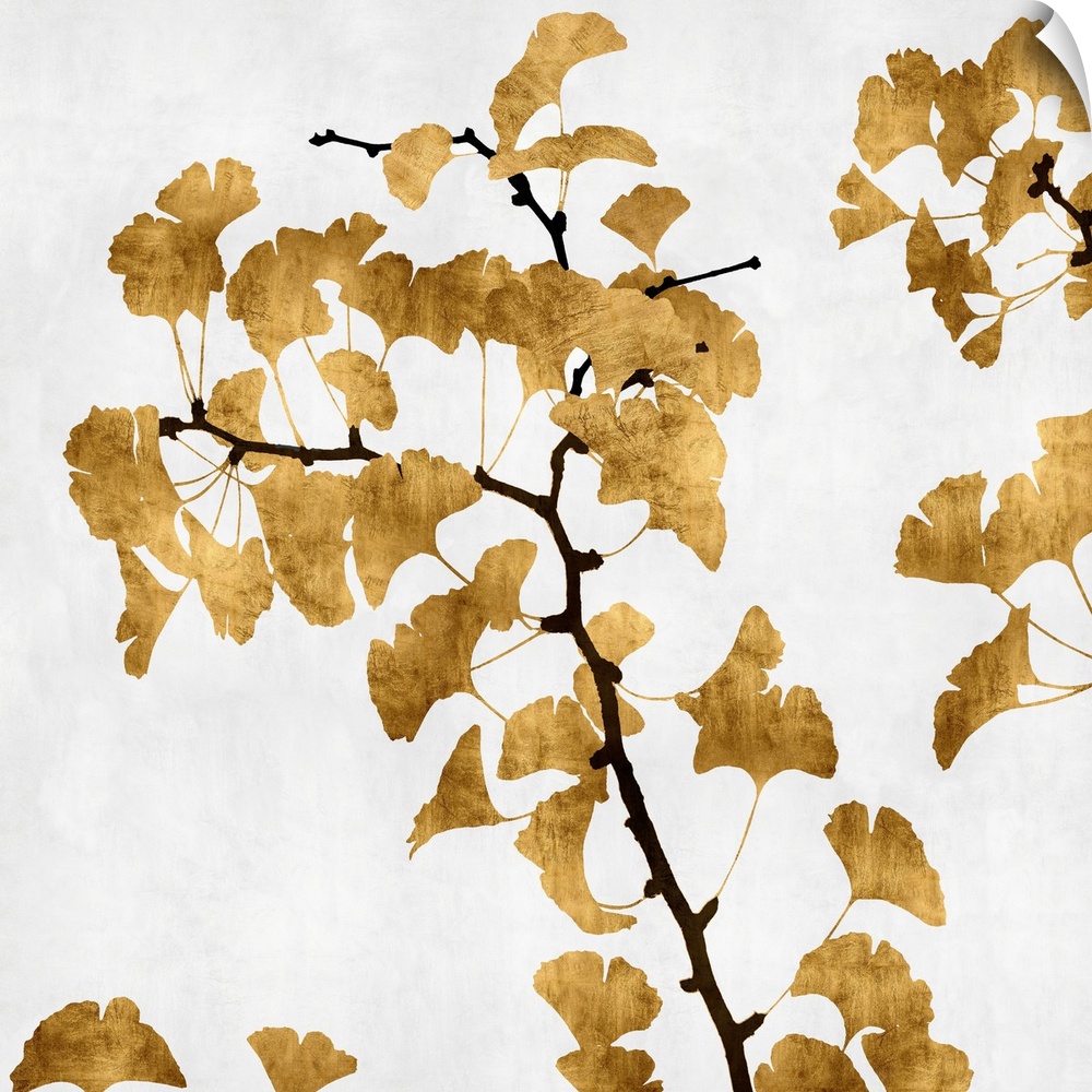 Silhouetted golden ginkgo leaves and brown branches on a white background.