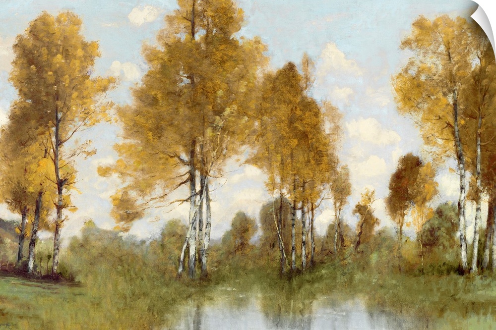 A beautiful traditional style landscape painting of tall birch trees in autumn with golden foliage