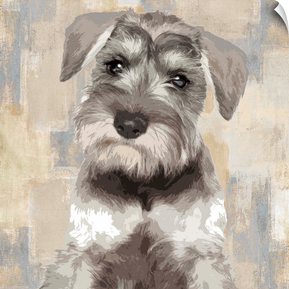 Square decor with a portrait of a Miniature Schnauzer on a layered gray, blue, and tan background.