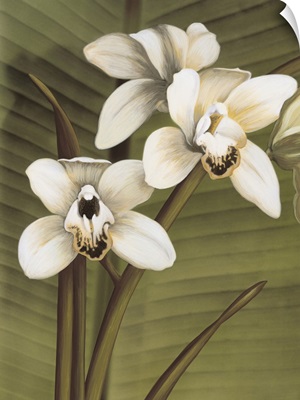 Orchid with Palm I