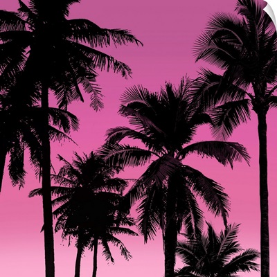 Palms Black on Pink II