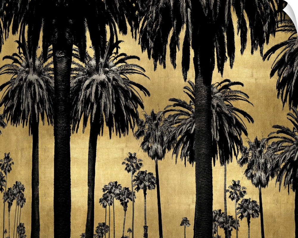 Decorative artwork featuring a black silhouette of palm trees over a distressed background.