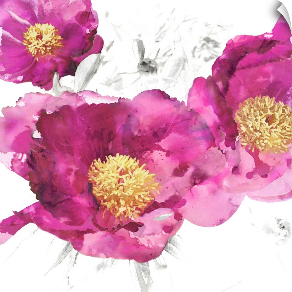 Square decor with bright pink poppies with gold centers on a white background with light sketches.