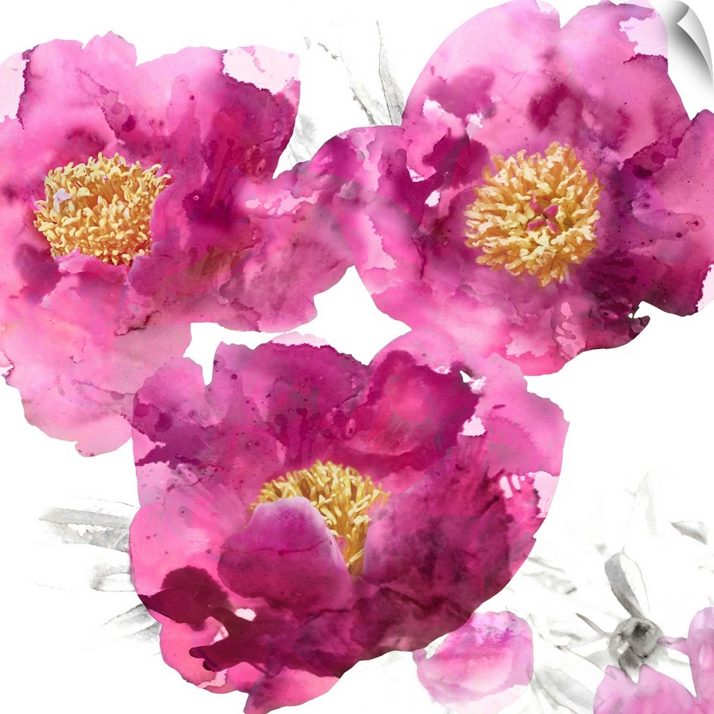 Square decor with bright pink poppies with gold centers on a white background with light sketches.