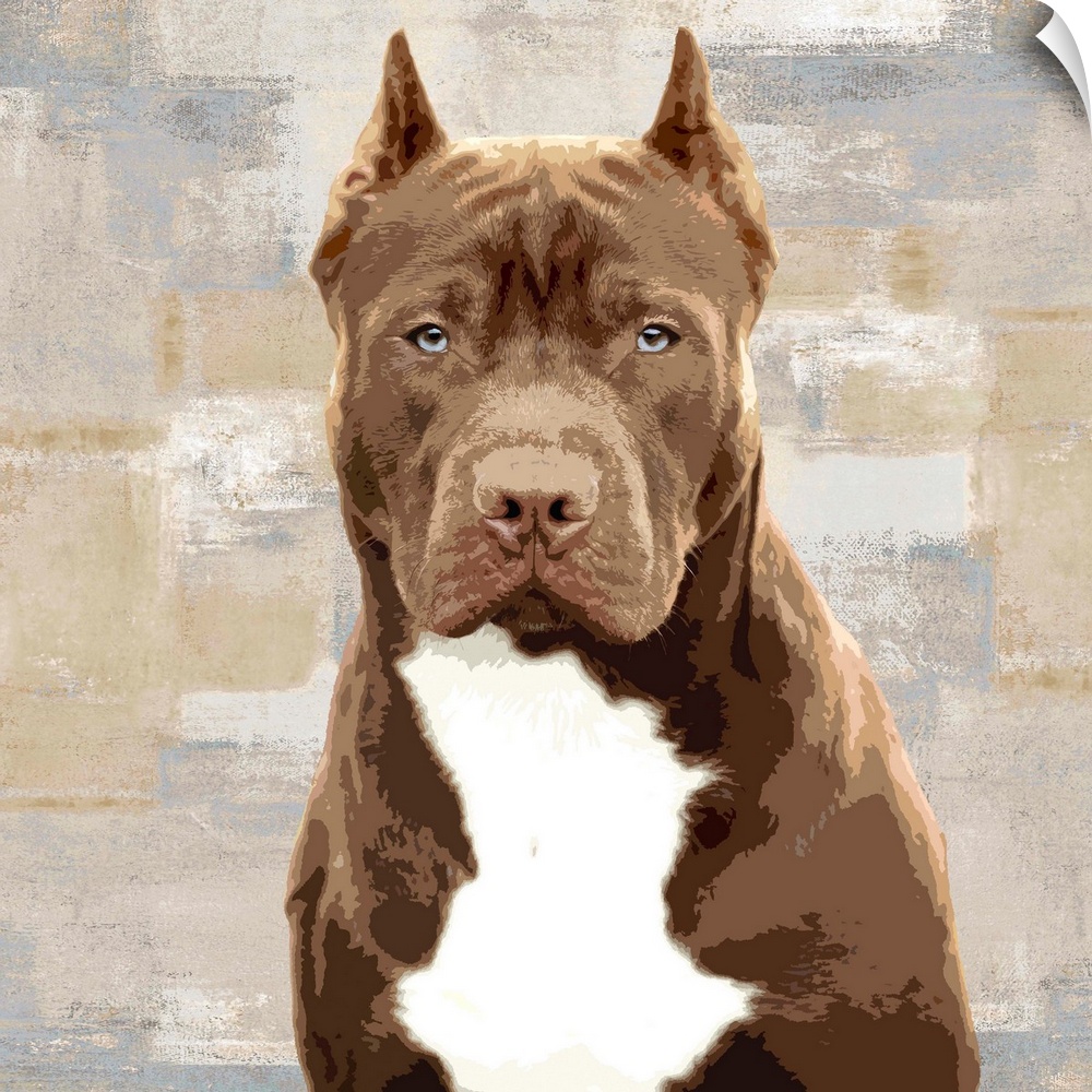 Square decor with a portrait of a Pitbull on a layered gray, blue, and tan background.