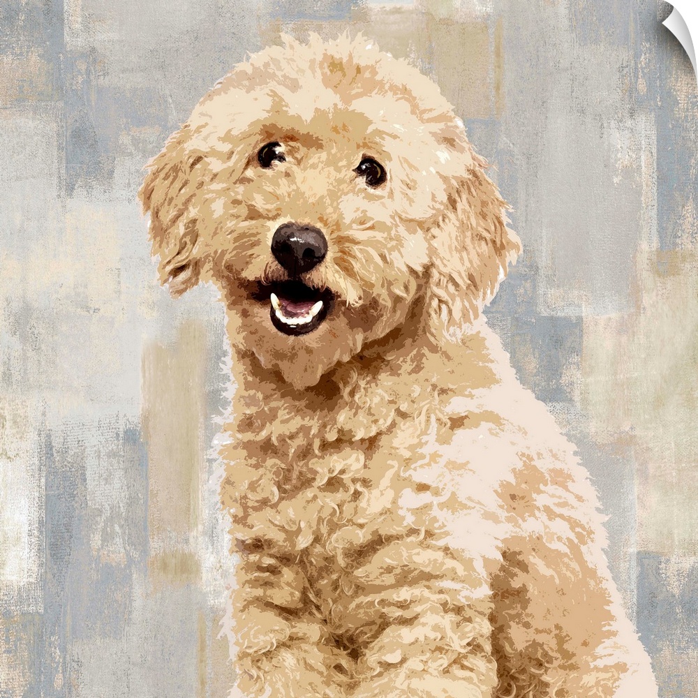 Square decor with a portrait of a Poodle on a layered gray, blue, and tan background.