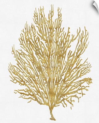 Sea Life - Gold on White V