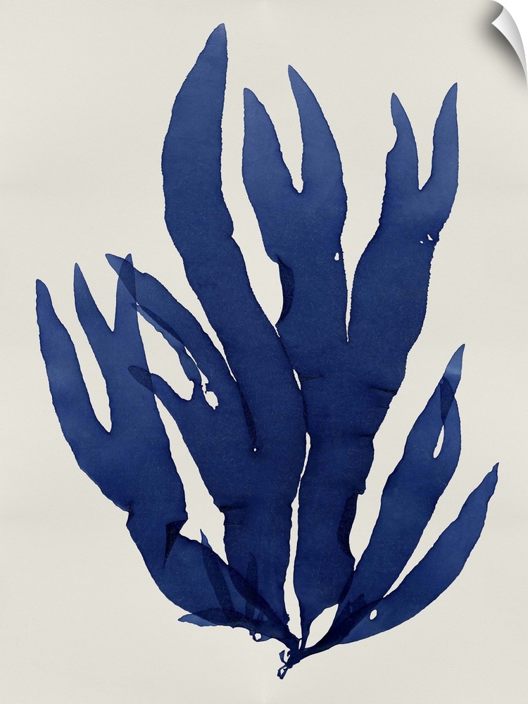 Indigo silhouette of seaweed on a white background.