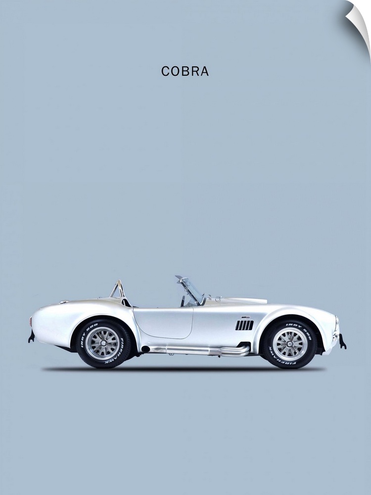 Photograph of a silver Shelby Cobra 65 printed on a silver background
