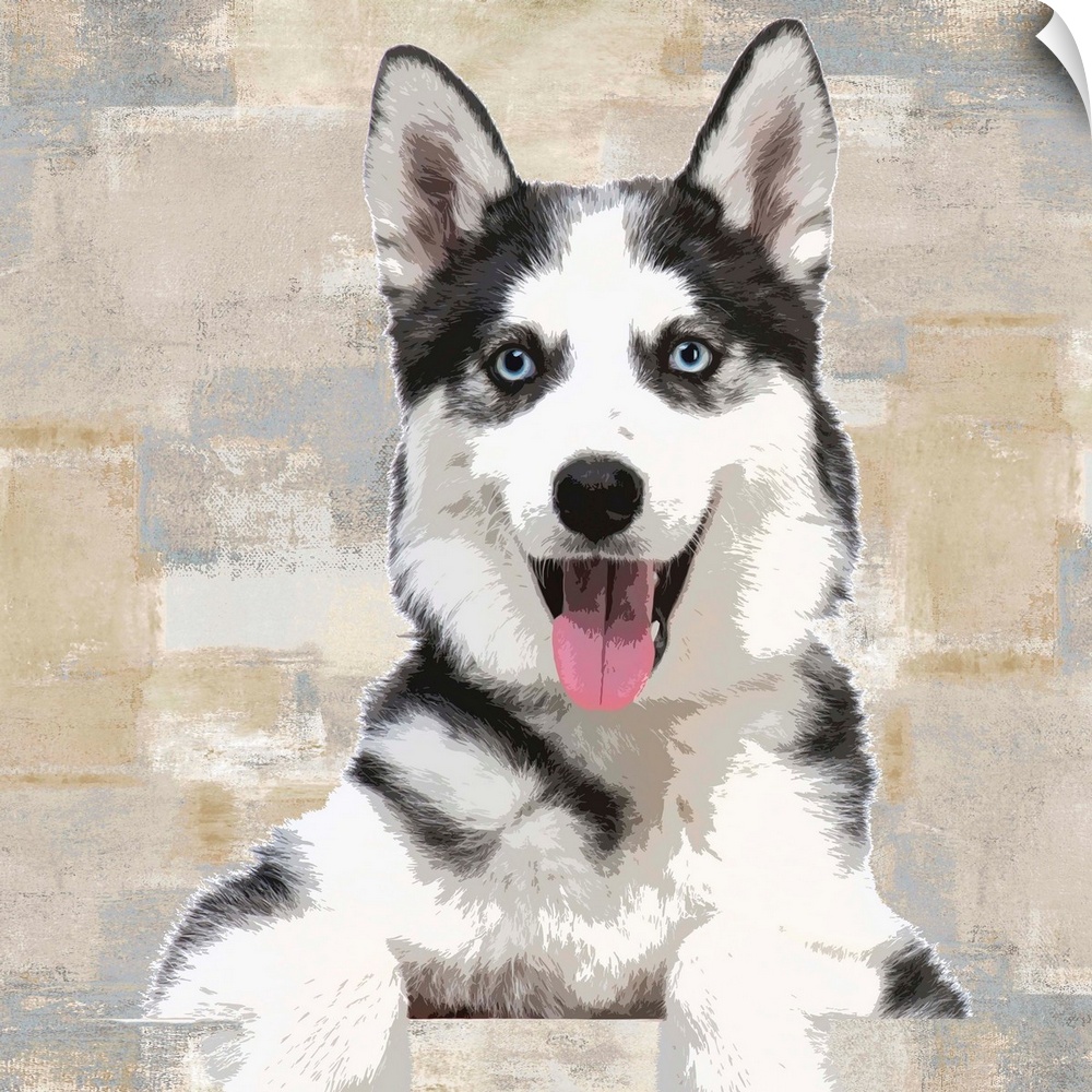 Square decor with a portrait of a Siberian Husky on a layered gray, blue, and tan background.