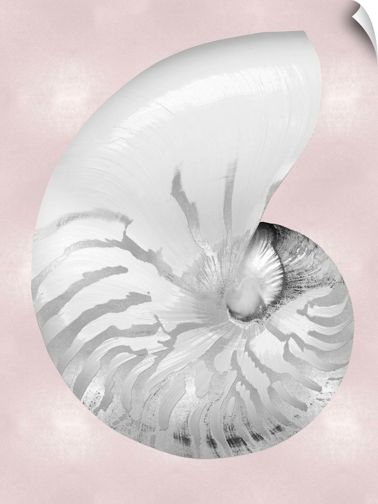 Silver Shell on Pink Blush II