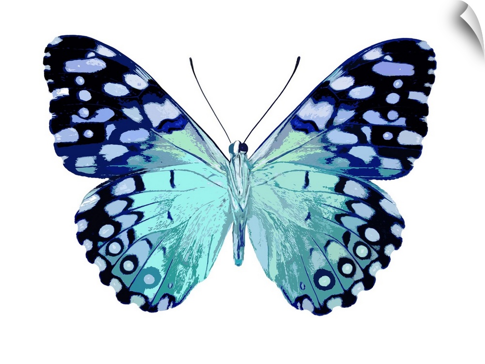 Illustration of a butterfly in shades of blue on a white background.