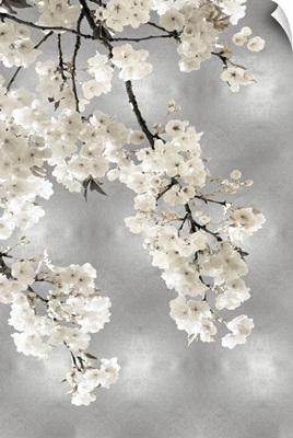 White Blossoms on Silver I